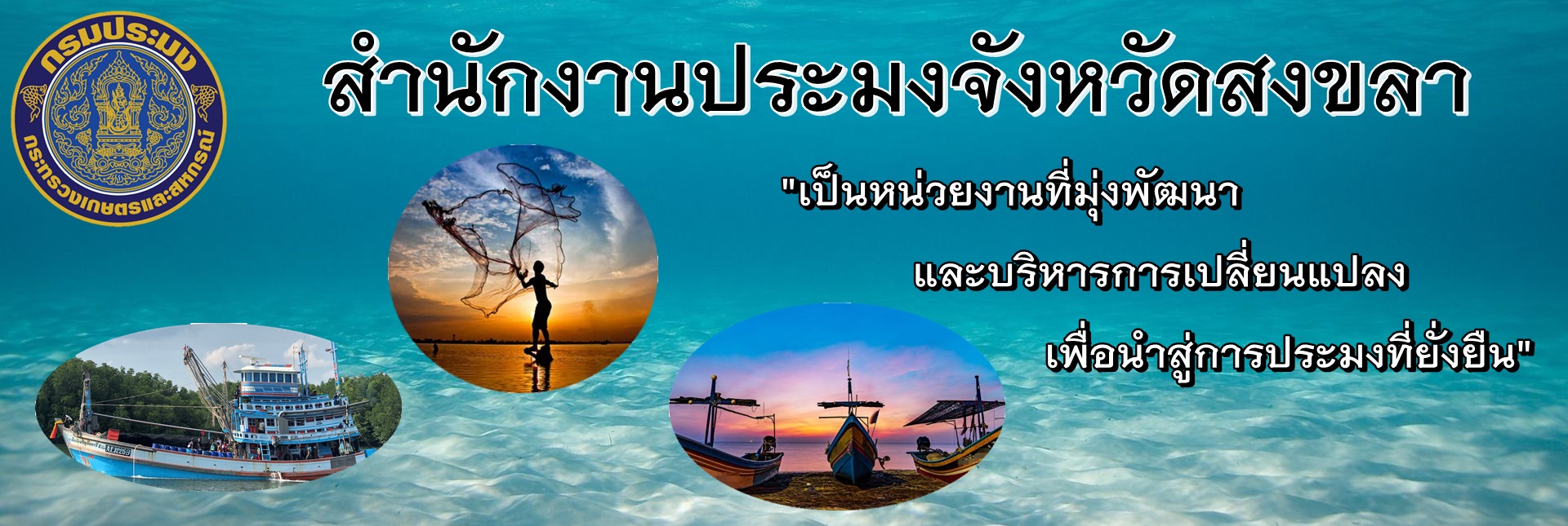 ปก 2/11/64