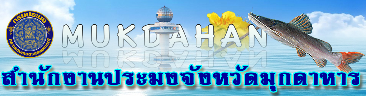 สไลด์ พย.64
