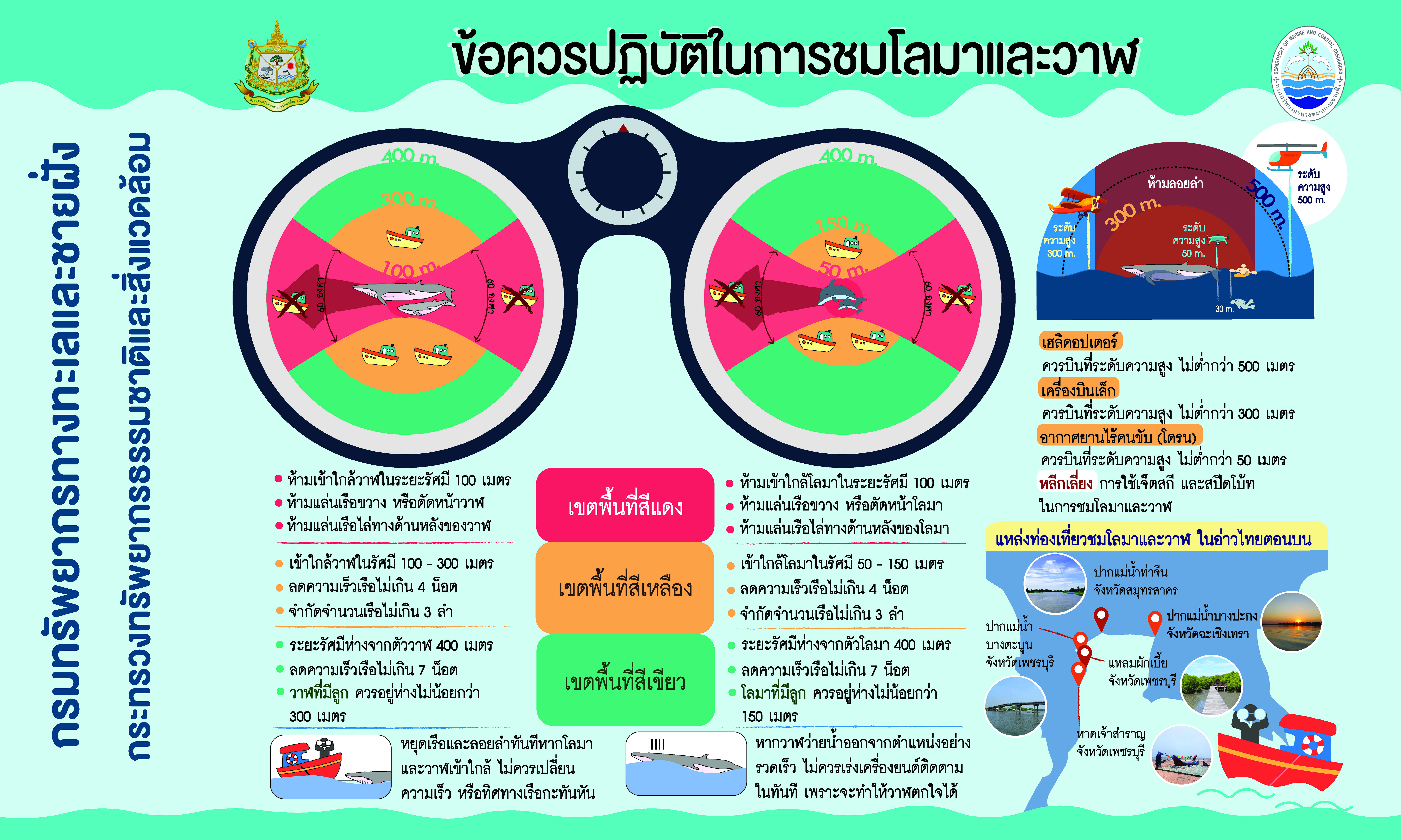 ข้อควรปฏิบัติในการชมโลมาและวาฬ