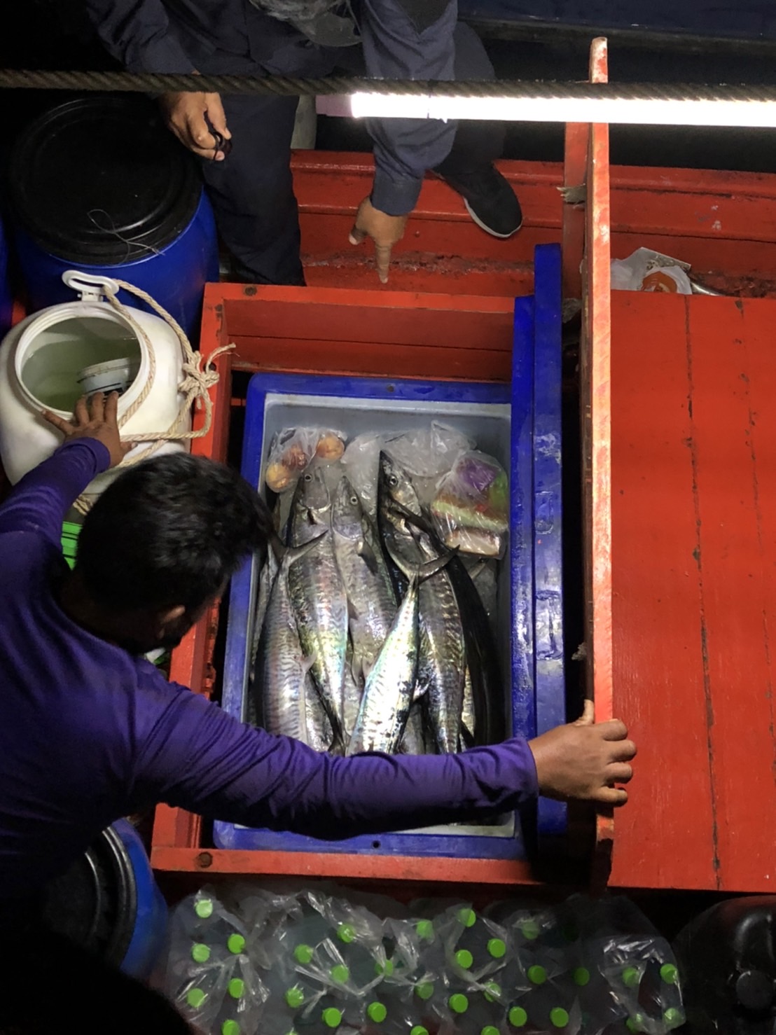 เรือตรวจประมงทะเล 204 จับกุมบุคคลต่างด้าวทำหน้าที่เป็นผู้ควบคุมเรือประมงไทย..คลิก