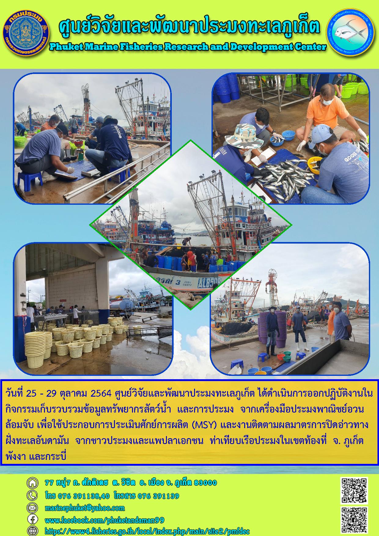 วันที่ 25 - 29 ตุลาคม 2564 ศูนย์วิจัยและพัฒนาประมงทะเลภูเก็ต ได้ดำเนินการออกปฏิบัติงานในกิจกรรมเก็บรวบรวมข้อมูลทรัพยากรสัตว์น้ำ  และการประมง  จากเครื่องมือประมงพาณิชย์อวนล้อมจับ ใน พื้นที่ จ. ภูเก็ต พังงา และกระบี่..คลิก
