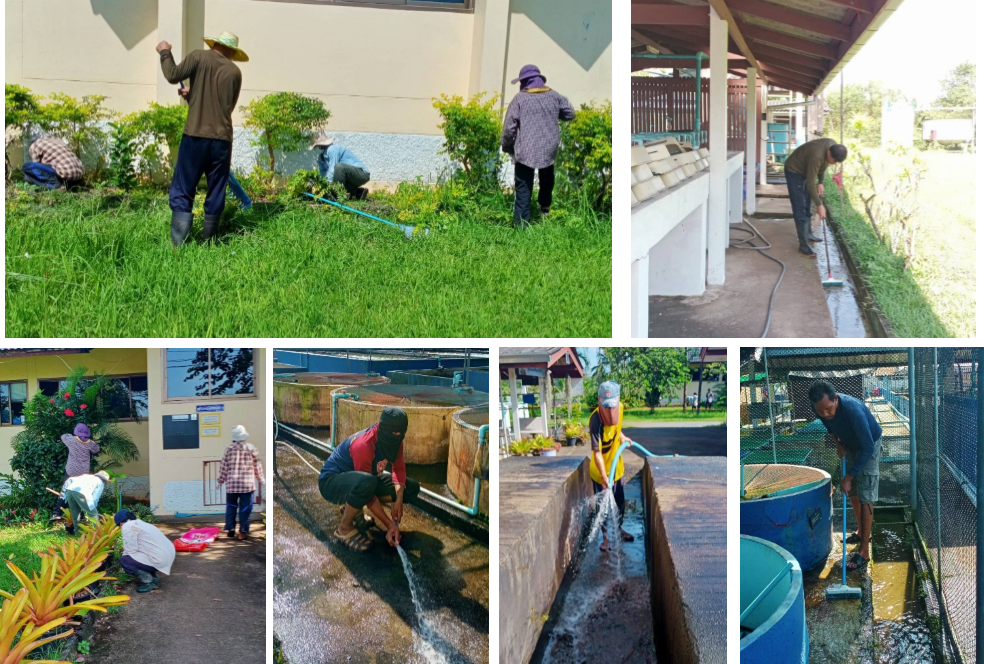 กิจกรรม Big Cleaning Day ประจำเดือน ตุลาคม 2564