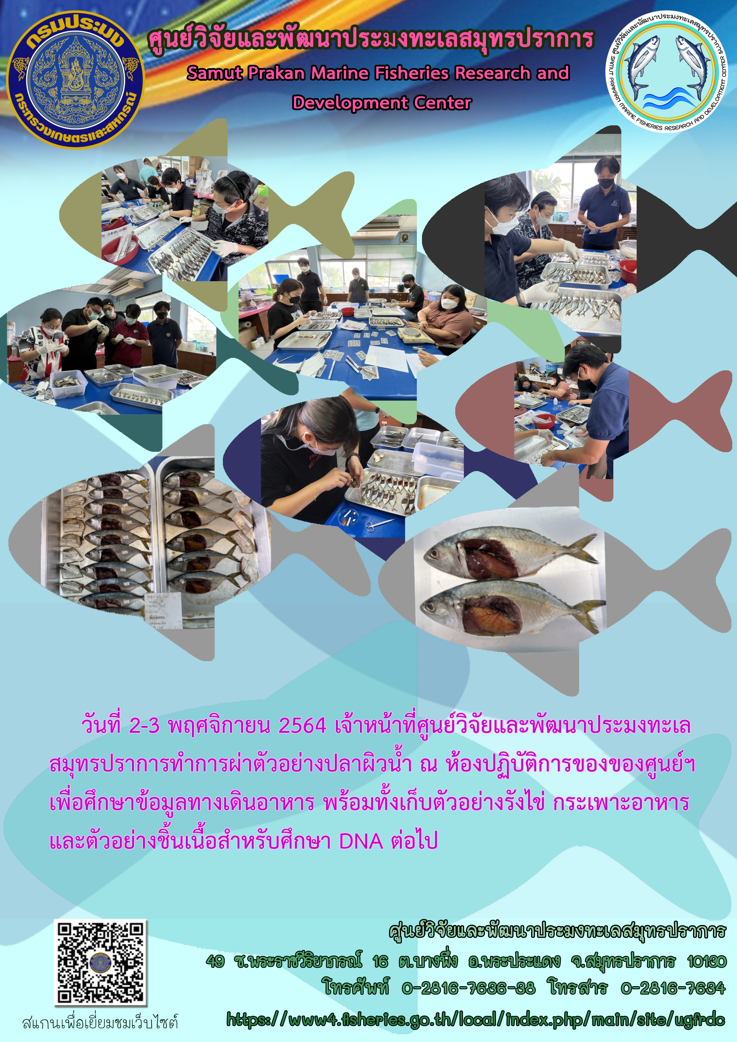 เจ้าหน้าที่ศูนย์วิจัยและพัฒนาประมงทะเลสมุทรปราการปฏิบัติการเก็บตัวอย่างข้อมูลทางเดินอาหารปลาผิวน้ำ..คลิก
