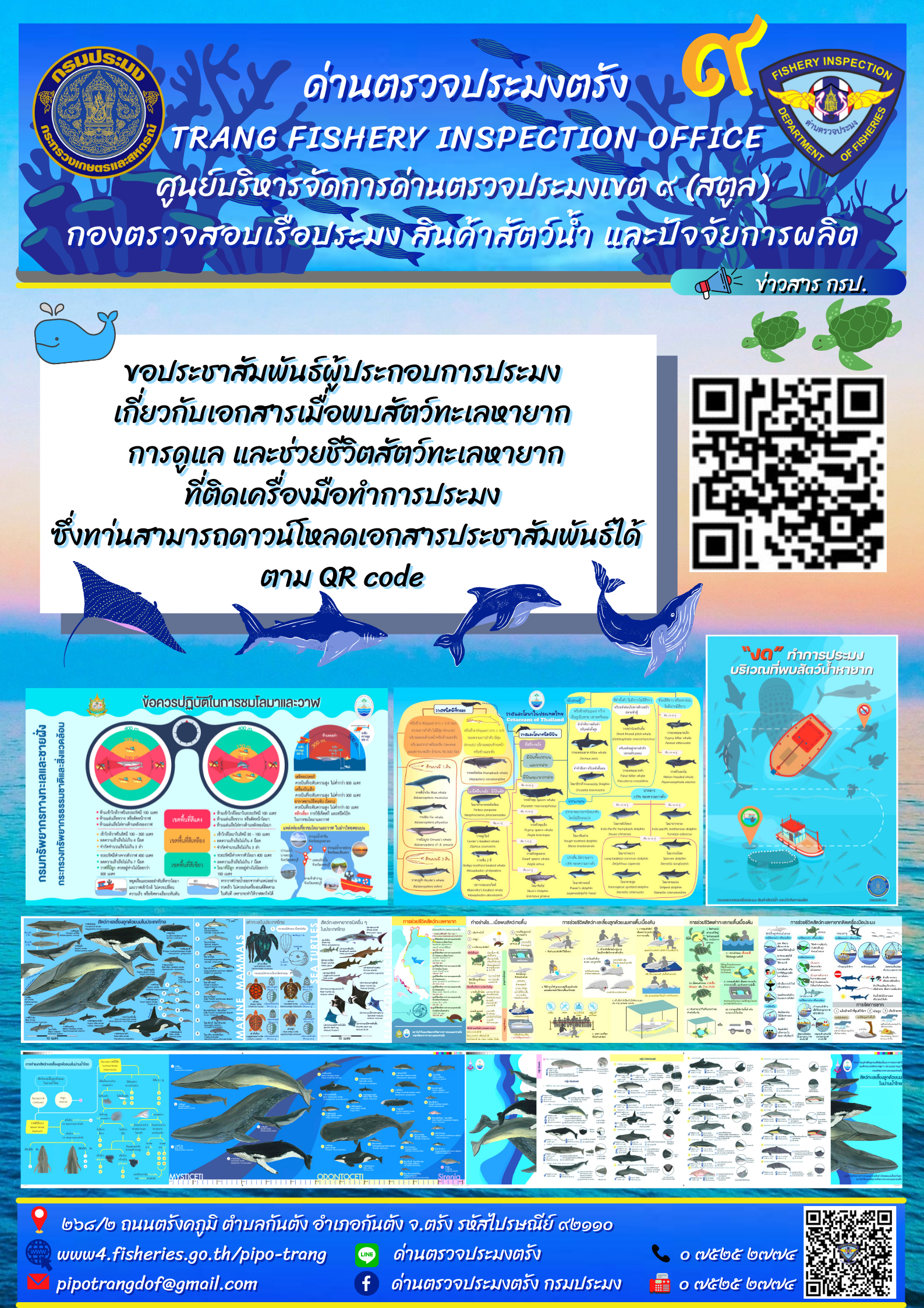 สัตว์ทะเลหายาก..คลิก