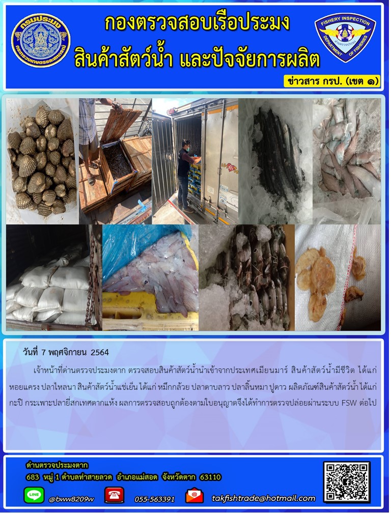 วันที่ 7 พฤศจิกายน 2564   	เจ้าหน้าที่ด่านตรวจประมงตาก ตรวจสอบสินค้าสัตว์น้ำนำเข้าจากประเทศเมียนมาร์ สินค้าสัตว์น้ำมีชีวิต ได้แก่ หอยแครง ปลาไหลนา สินค้าสัตว์น้ำแช่เย็น ได้แก่ หมึกกล้วย ปลาดาบลาว ปลาลิ้นหมา ปูดาว ผลิตภัณฑ์สินค้าสัตว์น้ำ ได้แก่ กะปิ กระเพาะปลายี่สกเทศตากแห้ง ผลการตรวจสอบถูกต้องตามใบอนุญาตจึงได้ทำการตรวจปล่อยผ่านระบบ FSW ต่อไป..คลิก