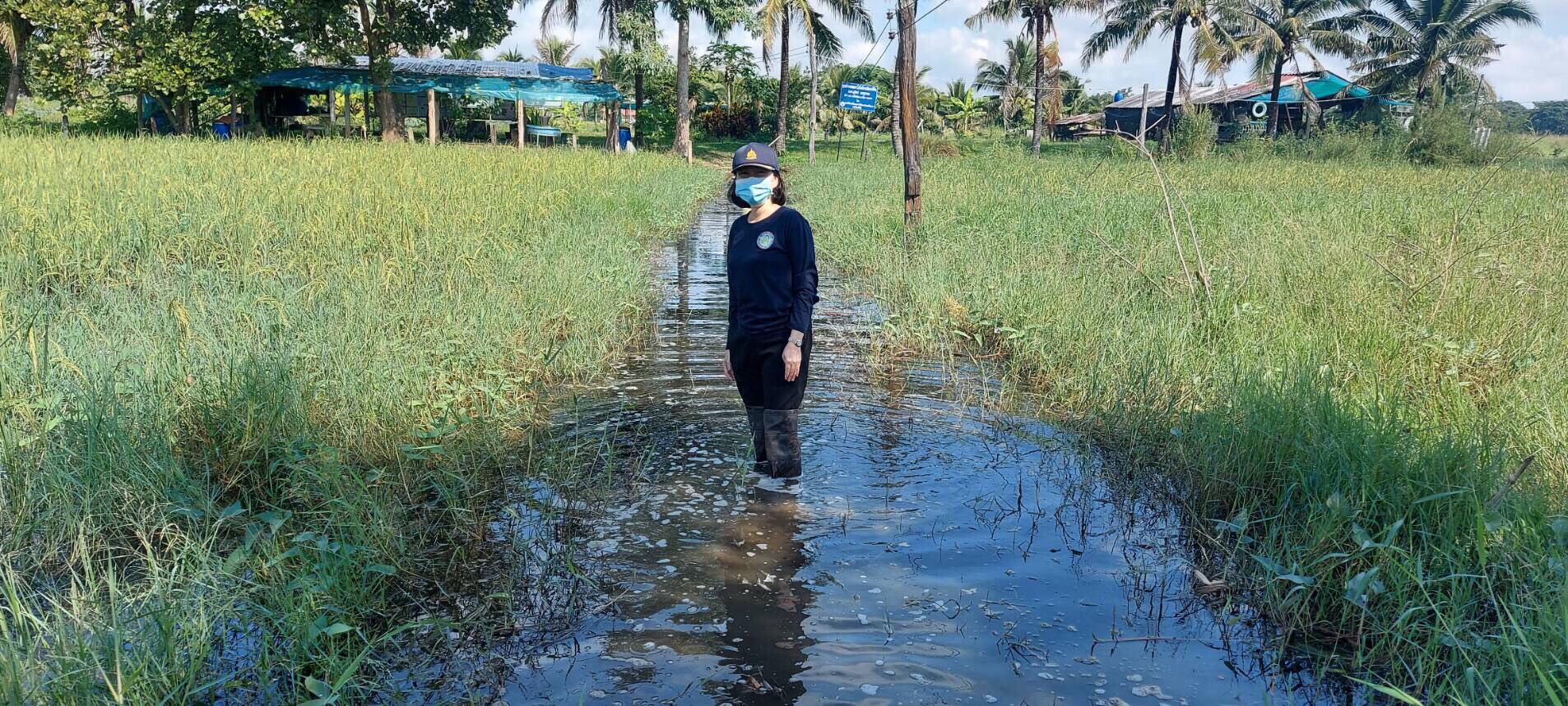 ตรวจสอบข้อมูลความเสียหายของเกษตรกรผู้เพาะเลี้ยงสัตว์น้ำ..คลิก