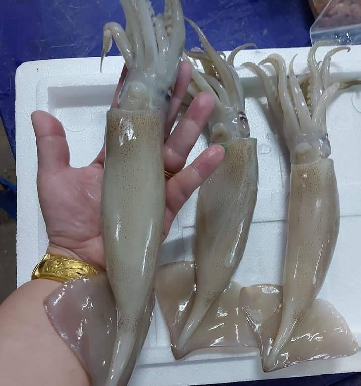 ตรวจสอบสินค้าส่งออก..คลิก