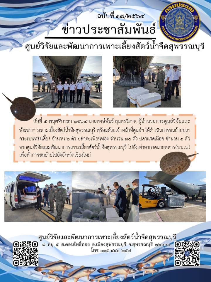 ข่าวประชาสัมพันธ์ฉบับที่ 17 ประจำเดือนพฤศจิกายน 2564..คลิก