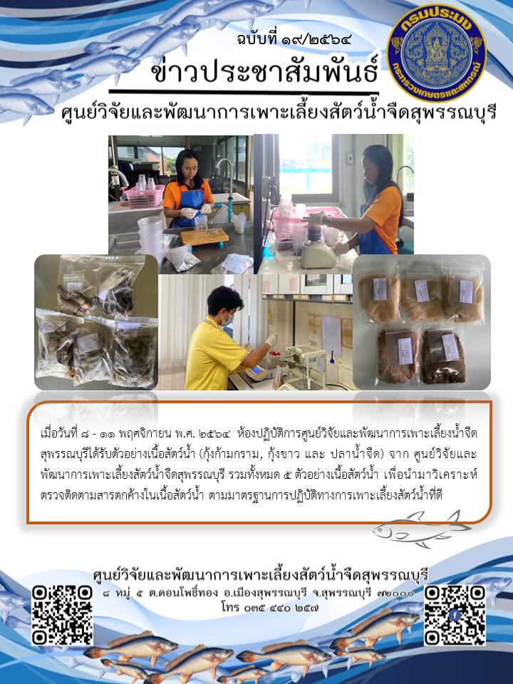ข่าวประชาสัมพันธ์ฉบับที่ 19 ประจำเดือนพฤศจิกายน 2564..คลิก