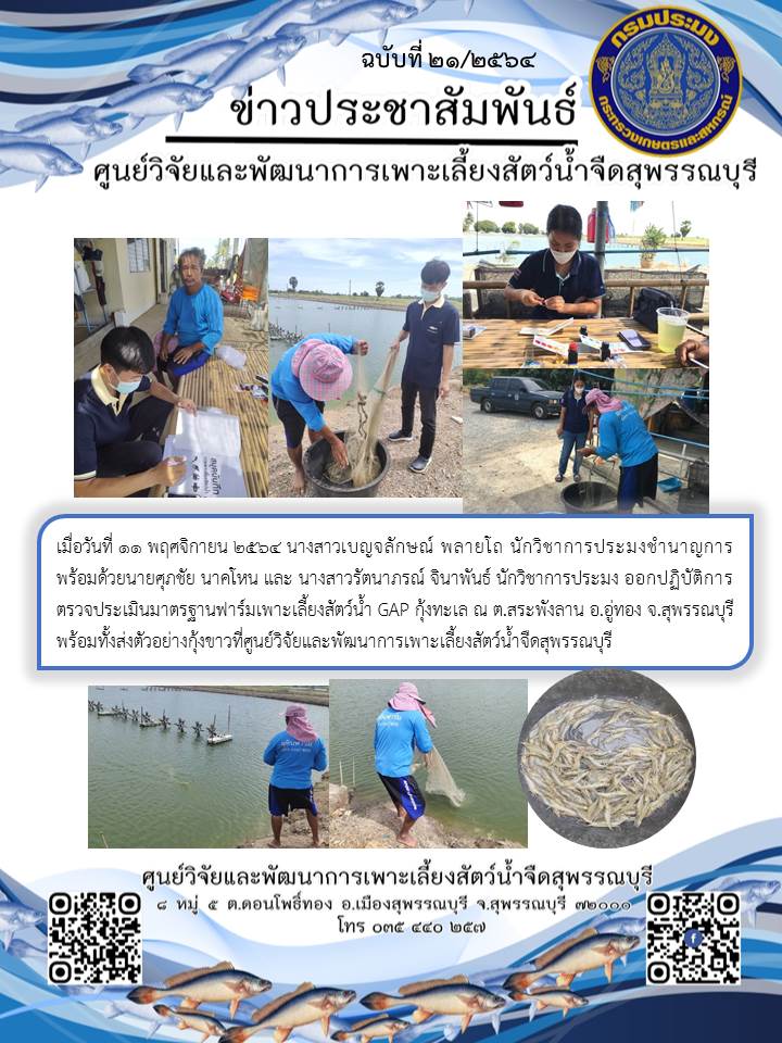 ข่าวประชาสัมพันธ์ฉบับที่ 21 ประจำเดือนพฤศจิกายน 2564..คลิก