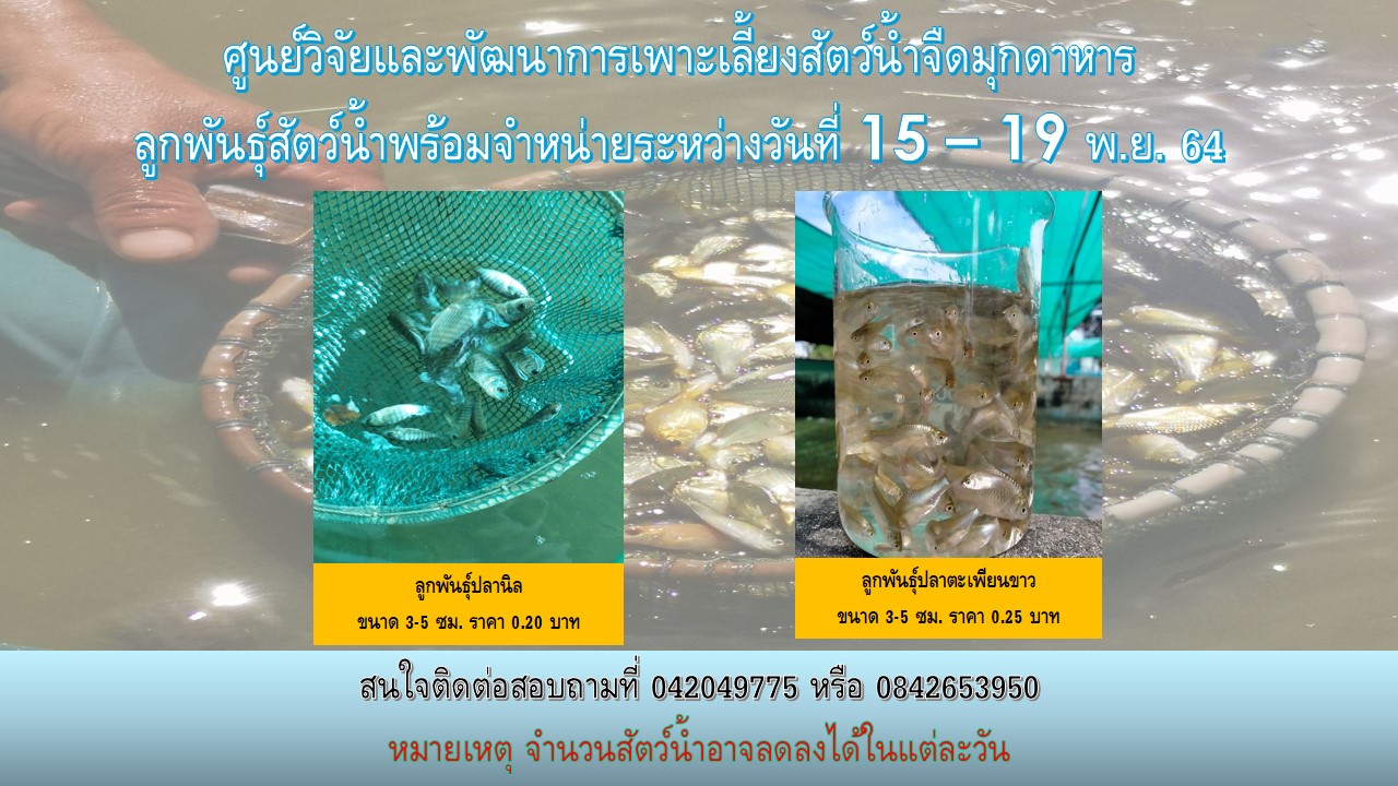 ลูกพันธุ์สัตว์น้ำพร้อมจำหน่าย..คลิก