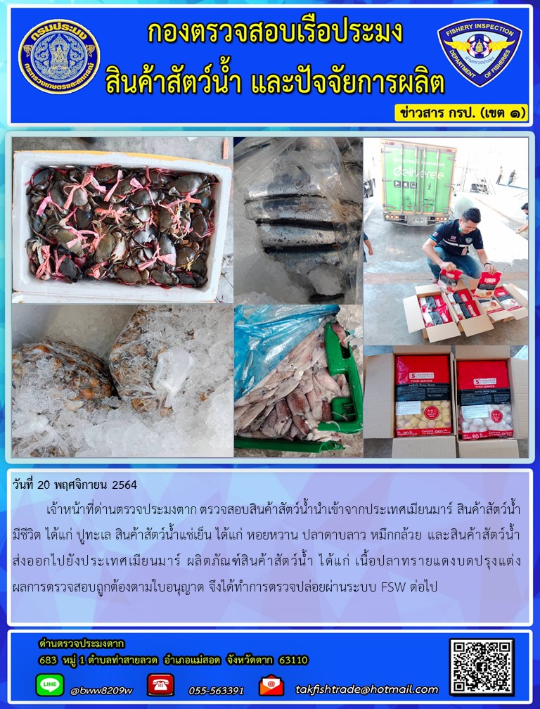 วันที่ 20 พฤศจิกายน 2564    เจ้าหน้าที่ด่านตรวจประมงตาก ตรวจสอบสินค้าสัตว์น้ำนำเข้าจากประเทศเมียนมาร์ สินค้าสัตว์น้ำมีชีวิต ได้แก่ ปูทะเล สินค้าสัตว์น้ำแช่เย็น ได้แก่ หอยหวาน ปลาดาบลาว หมึกกล้วย และสินค้าสัตว์น้ำส่งออกไปยังประเทศเมียนมาร์ ผลิตภัณฑ์สินค้าสัตว์น้ำ ได้แก่ เนื้อปลาทรายแดงบดปรุงแต่ง ผลการตรวจสอบถูกต้องตามใบอนุญาต จึงได้ทำการตรวจปล่อยผ่านระบบ FSW ต่อไป