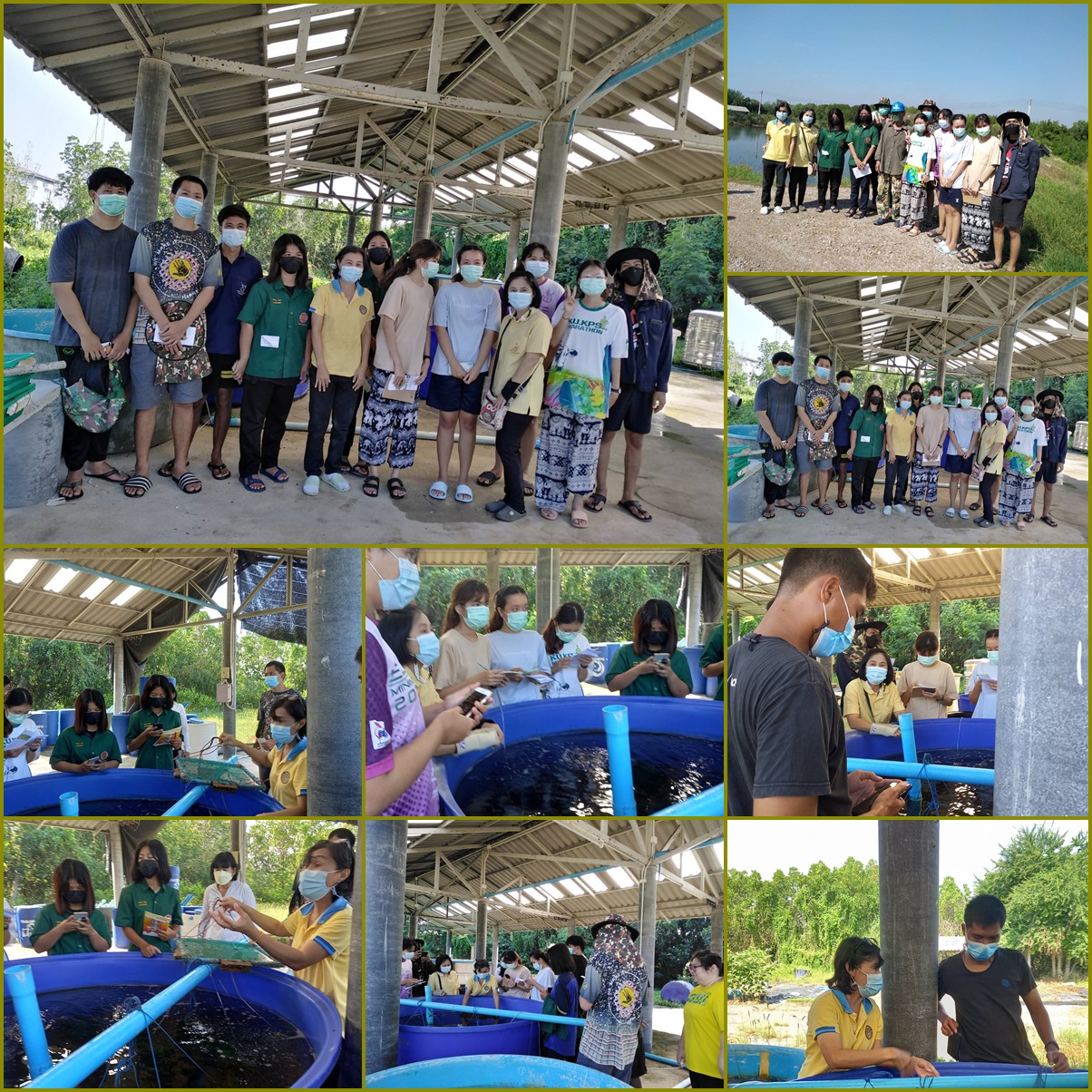 การเยี่ยมชมศูนย์เรียนรู้การเพาะเลี้ยงสาหร่ายพวงองุ่นดและการผลิตอาร์ทีเมียตัวเต็มวัย..คลิก