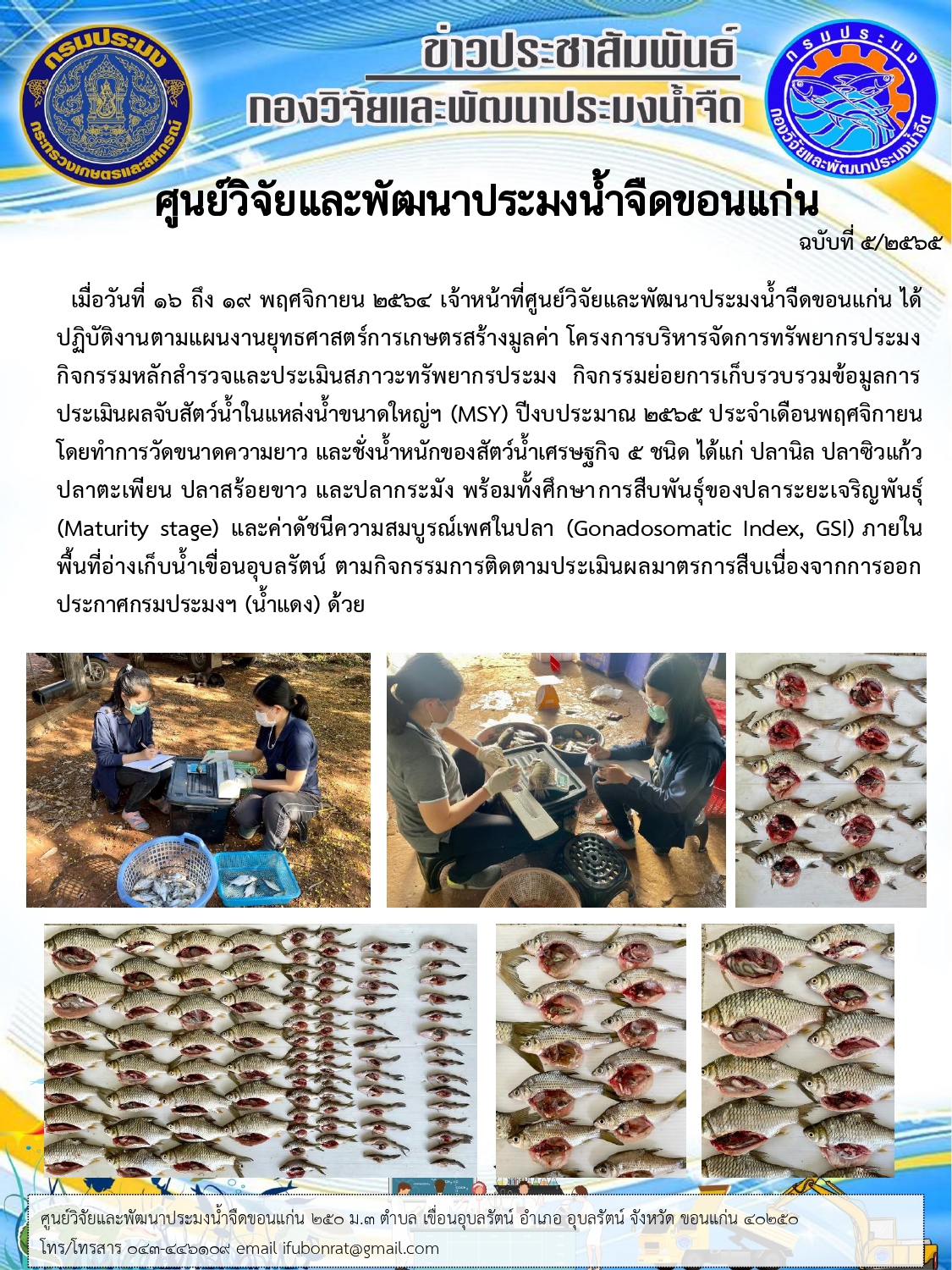 การเก็บรวบรวมข้อมูลการประเมินผลจับสัตว์น้ำในแหล่งน้ำขนาดใหญ่ฯ (MSY) ประจำเดือนพฤศจิกายน ปีงบประมาณ 2565..คลิก