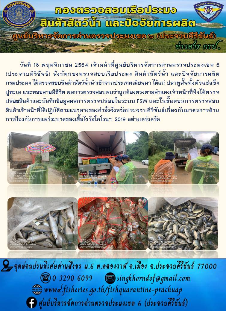 สินค้าสัตว์น้ำนำเข้าจากประเทศเมียนมา