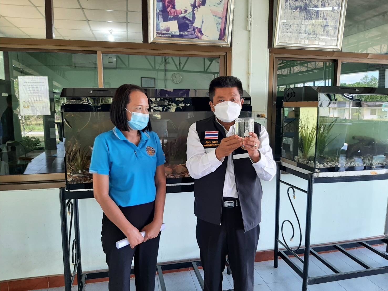 กรมประมง เพาะพันธุ์ “ปลาหุด” สัตว์น้ำหายาก ราคาสูง สำเร็จครั้งแรกในเขตพื้นที่ภาคใต้ กว่า 2 แสนตัว พร้อมปล่อยลงสู่แหล่งต้นน้ำ..คลิก