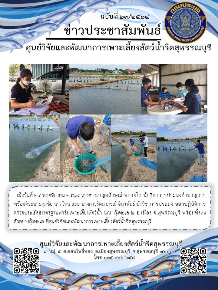 ข่าวประชาสัมพันธ์ฉบับที่ 29 ประจำเดือนพฤศจิกายน 2564..คลิก
