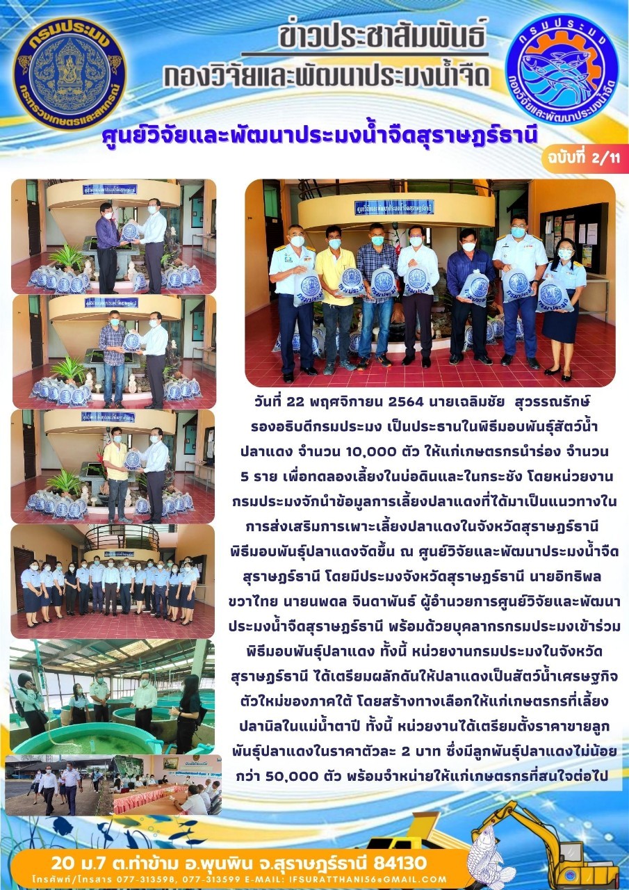 วันที่ 22 พฤศจิกายน 2564 นายเฉลิมชัย สุวรรณรักษ์ รองอธิบดีกรมประมงเป็นประธานในพิธีมอบพันธุ์สัตว์น้ำปลาแดง..คลิก
