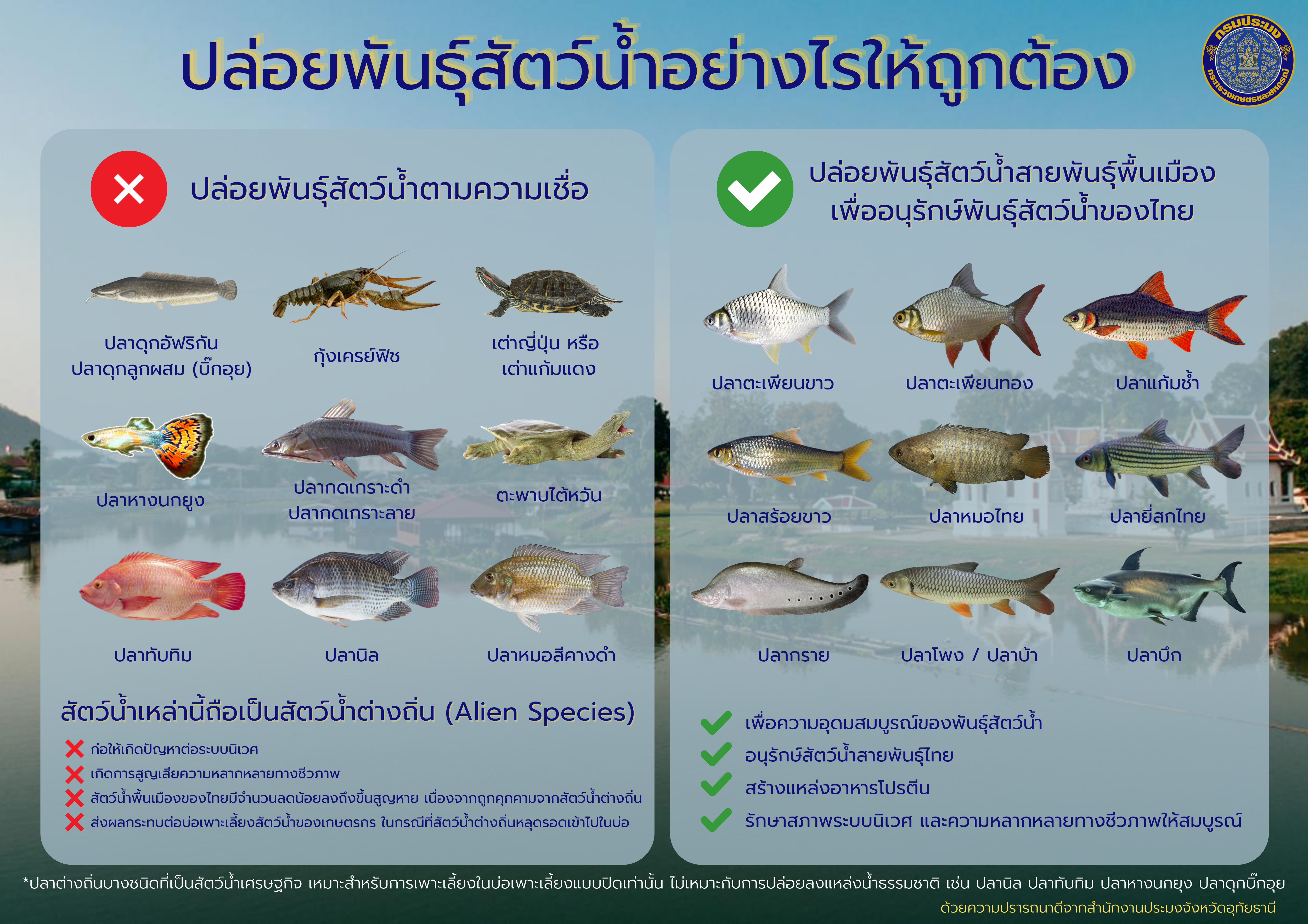 ปล่อยพันธุ์สัตว์น้ำอย่างไรให้ถูกต้อง..คลิก