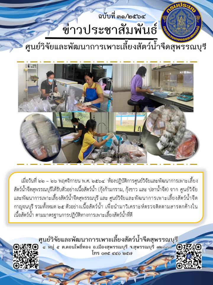 ข่าวประชาสัมพันธ์ฉบับที่ 31 ประจำเดือนพฤศจิกายน 2564..คลิก