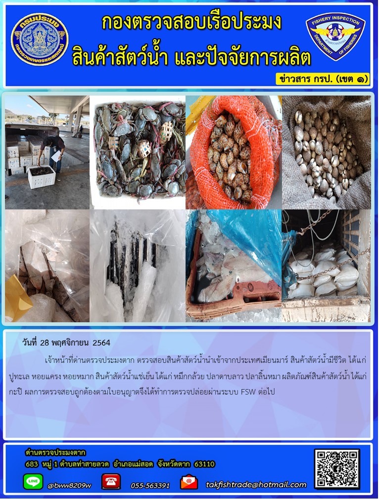 วันที่ 28 พฤศจิกายน 2564   	     เจ้าหน้าที่ด่านตรวจประมงตาก ตรวจสอบสินค้าสัตว์น้ำนำเข้าจากประเทศเมียนมาร์ สินค้าสัตว์น้ำมีชีวิต ได้แก่ ปูทะเล หอยแครง หอยหมาก สินค้าสัตว์น้ำแช่เย็น ได้แก่ หมึกกล้วย ปลาดาบลาว ปลาลิ้นหมา ผลิตภัณฑ์สินค้าสัตว์น้ำ ได้แก่ กะปิ ผลการตรวจสอบถูกต้องตามใบอนุญาตจึงได้ทำการตรวจปล่อยผ่านระบบ FSW ต่อไป..คลิก