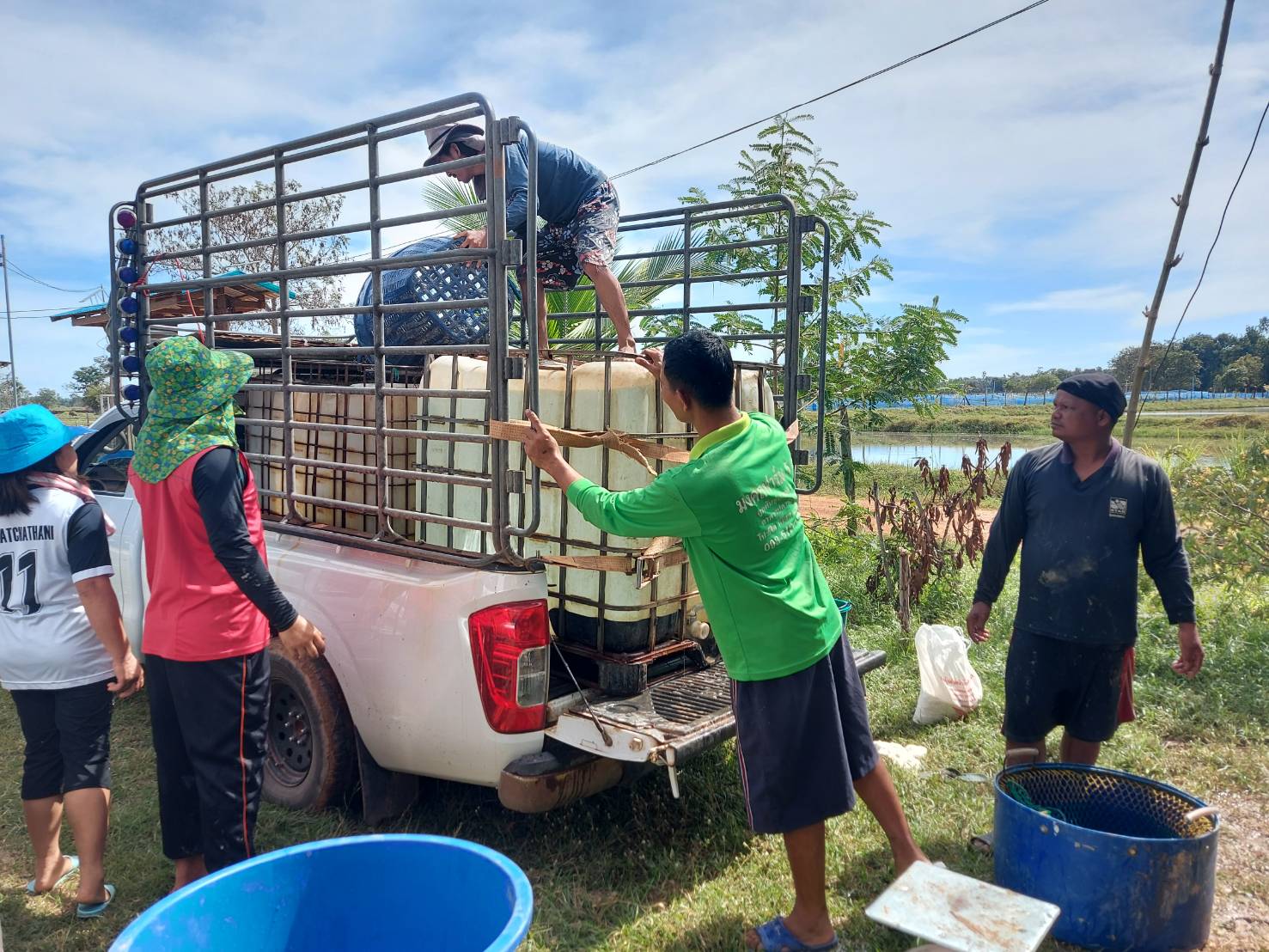 ประมงอำเภอพิบูลมังสาหาร ลงพื้นที่อิสระฟาร์มปลาช่อน ต.ดอนจิก อ.พิบูลมังสาหาร เพื่อสำรวจข้อมูลผลผลิตปลาช่อน..คลิก
