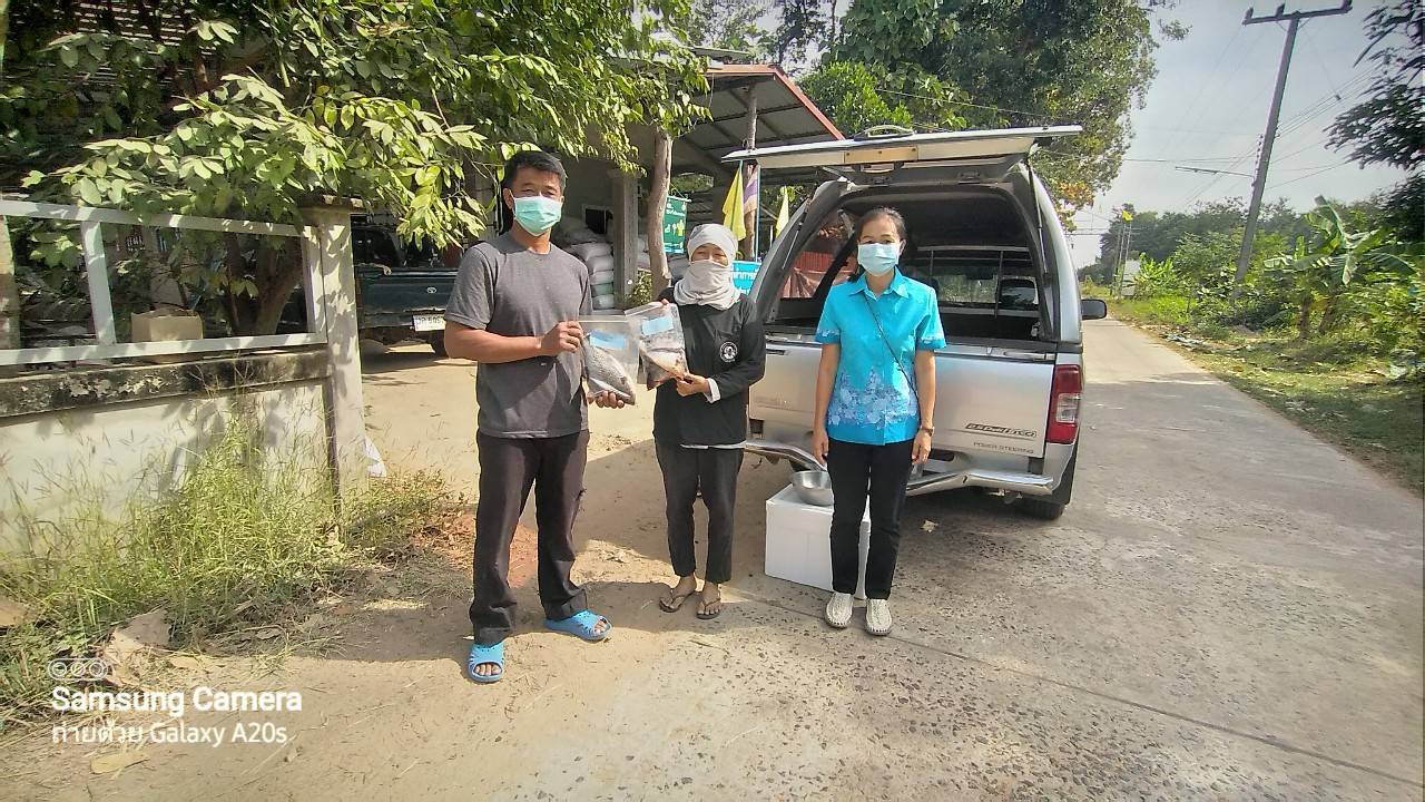 ข่าวประชาสัมพันธ์ประจำวันที่ 23-26 พฤศจิกายน 2564 ศูนย์วิจัยและพัฒนาการเพาะเลี้ยงสัตว์น้ำจืดศรีสะเกษ ปักษ์หลัง ฉบับที่ 14