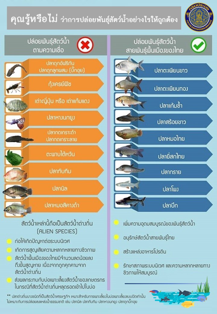 คุณรู้หรือไม่ ว่าการปล่อยพันธุ์สัตว์น้ำอย่างไรให้ถูกต้อง..คลิก