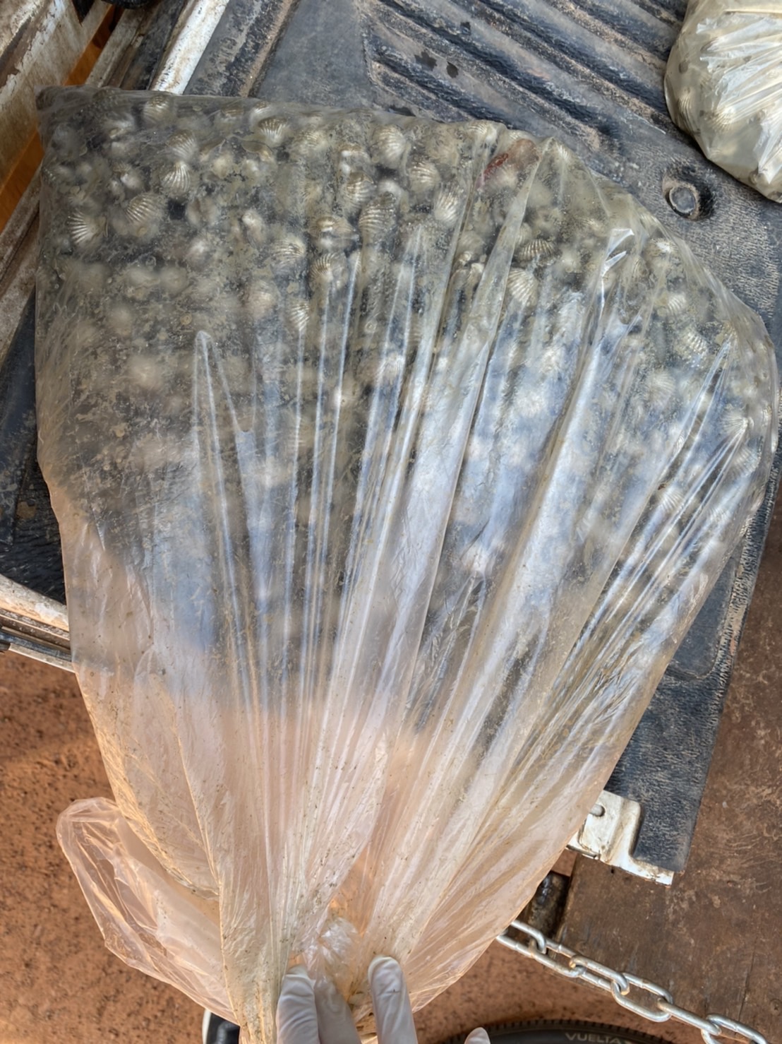 ผลการปฏิบัติงานด่านตรวจประมงสุรินทร์ วันที่ 2 ธันวาคม พ.ศ.2564..คลิก