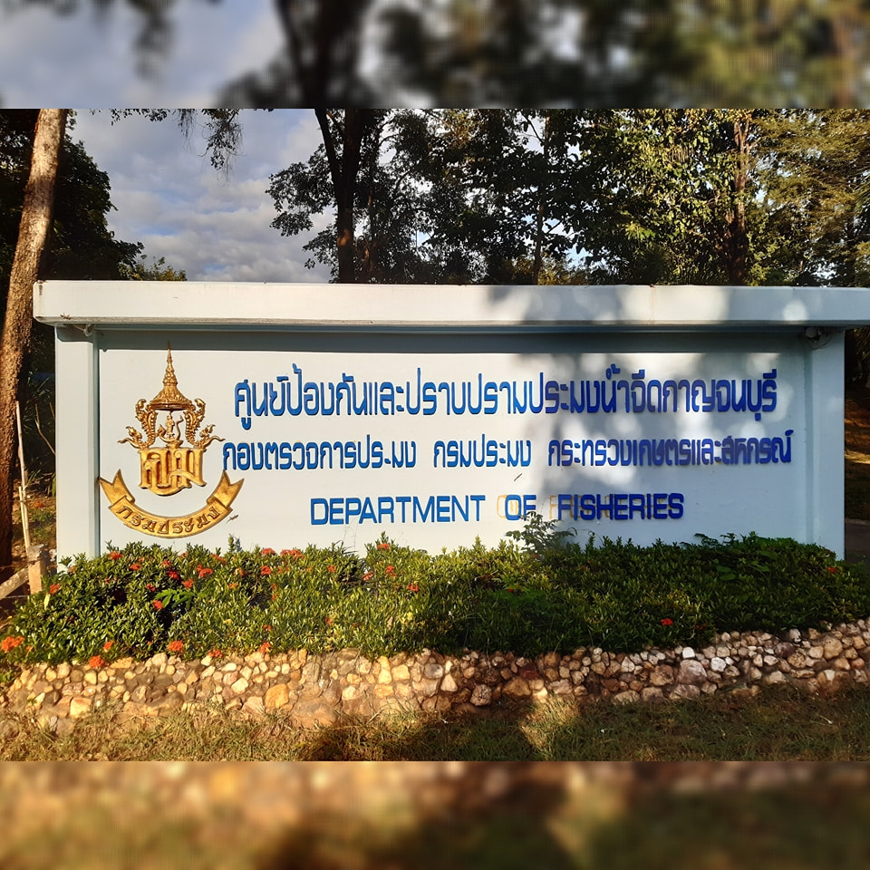 ศูนย์ป้องกันและปราบปรามประมงน้ำจืดภาคตะวันตก(กาญจนบุรี)..คลิก