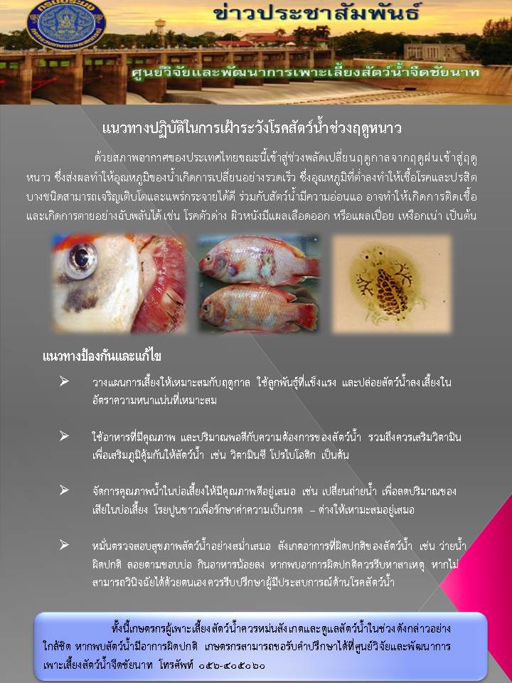 แนวทางปฏิบัติในการเฝ้าระวังโรคสัตว์น้ำช่วงฤดูหนาว