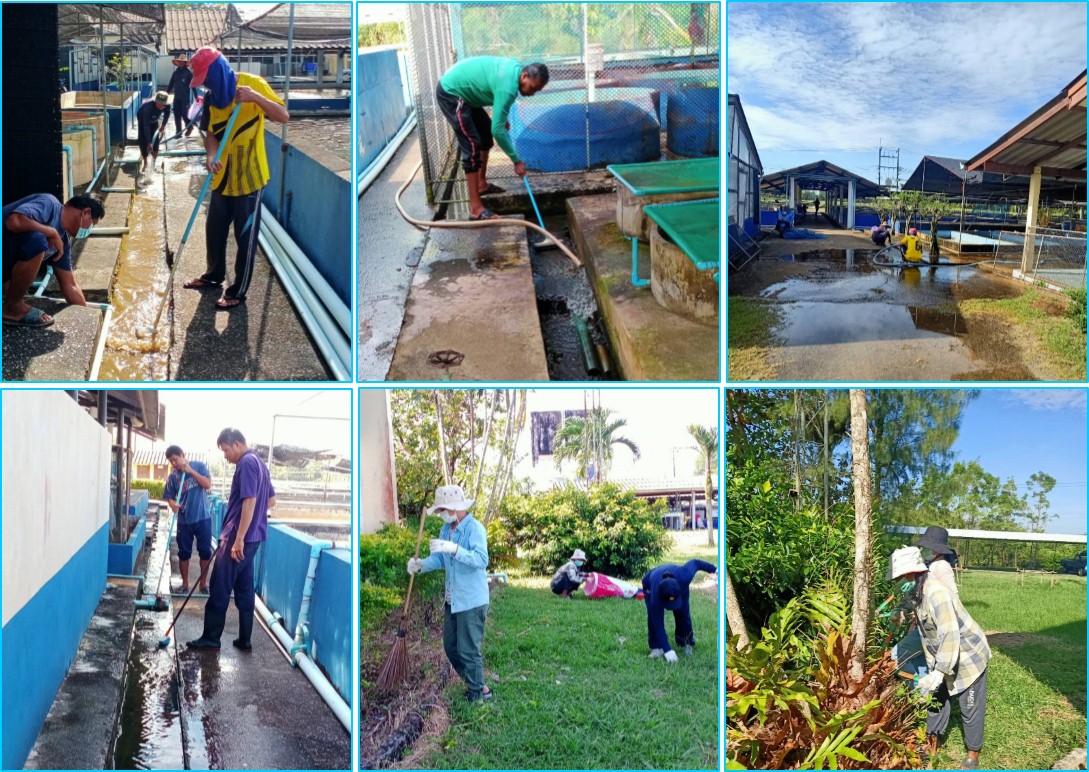Big Cleaning Day ประจำเดือน พฤศจิกายน 2564..คลิก