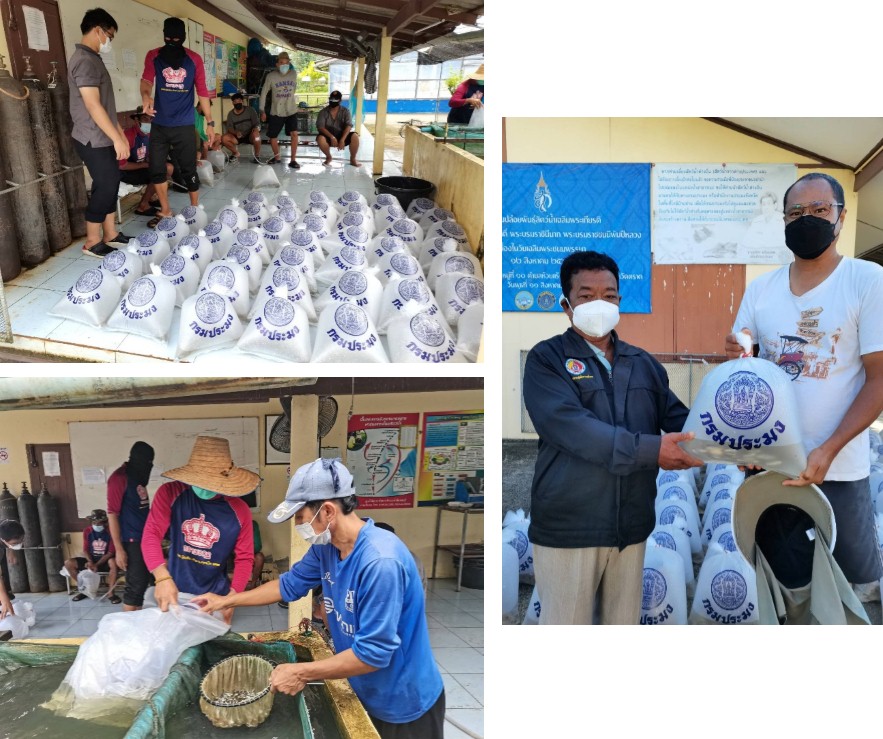 โครงการฟื้นฟูทรัพยากรพันธุ์ปลาและสัตว์น้ำจืดของไทย ปล่อยและแจกจ่ายพันธุ์สัตว์น้ำในแหล่งน้ำธรรมชาติ