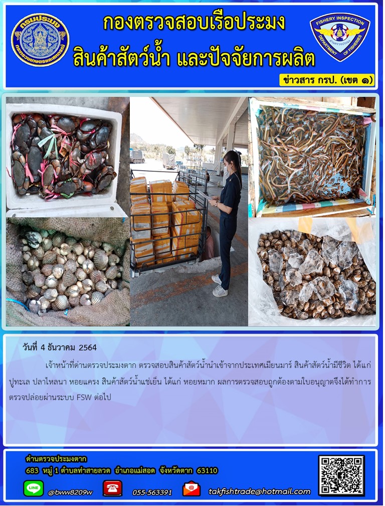 วันที่ 4 ธันวาคม 2564   	     เจ้าหน้าที่ด่านตรวจประมงตาก ตรวจสอบสินค้าสัตว์น้ำนำเข้าจากประเทศเมียนมาร์ สินค้าสัตว์น้ำมีชีวิต ได้แก่ ปูทะเล ปลาไหลนา หอยแครง สินค้าสัตว์น้ำแช่เย็น ได้แก่ หอยหมาก ผลการตรวจสอบถูกต้องตามใบอนุญาตจึงได้ทำการตรวจปล่อยผ่านระบบ FSW ต่อไป..คลิก