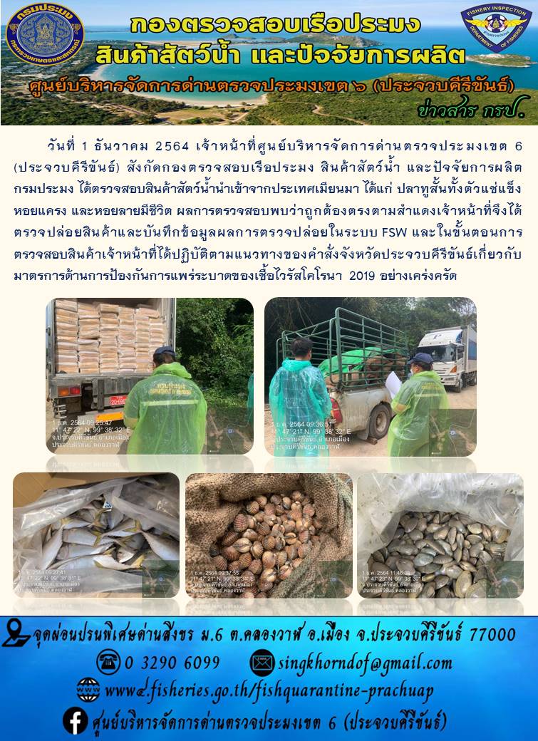 สินค้าสัตว์น้ำนำเข้าจากประเทศเมียนมา