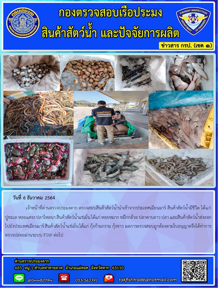 วันที่ 6 ธันวาคม 2564   	     เจ้าหน้าที่ด่านตรวจประมงตาก ตรวจสอบสินค้าสัตว์น้ำนำเข้าจากประเทศเมียนมาร์ สินค้าสัตว์น้ำมีชีวิต ได้แก่ ปูทะเล หอยแครง ปลาไหลนา สินค้าสัตว์น้ำแช่เย็น ได้แก่ หอยหมาก หมึกกล้วย ปลาดาบลาว ปลา และสินค้าสัตว์น้ำส่งออกไปยังประเทศเมียนมาร์ สินค้าสัตว์น้ำแช่เย็น ได้แก่ กุ้งก้ามกราม กุ้งขาว ผลการตรวจสอบถูกต้องตามใบอนุญาตจึงได้ทำการตรวจปล่อยผ่านระบบ FSW ต่อไป..คลิก