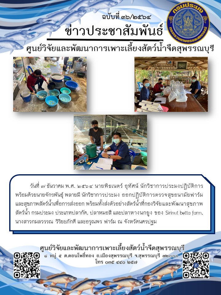 ข่าวประชาสัมพันธ์ฉบับที่ 36 ประจำเดือนธันวาคม 2564..คลิก