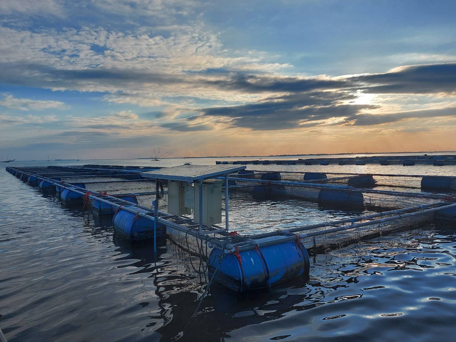ประมงอำเภอสิรินธร ตรวจเยี่ยมศพก.เครือข่ายด้านประมง ณ ศพก.เครือข่ายด้านประมงนายวรรณภา นาคูณ ต.นิคมฯ อ.สิรินธร จ.อุบลราชธานี..คลิก