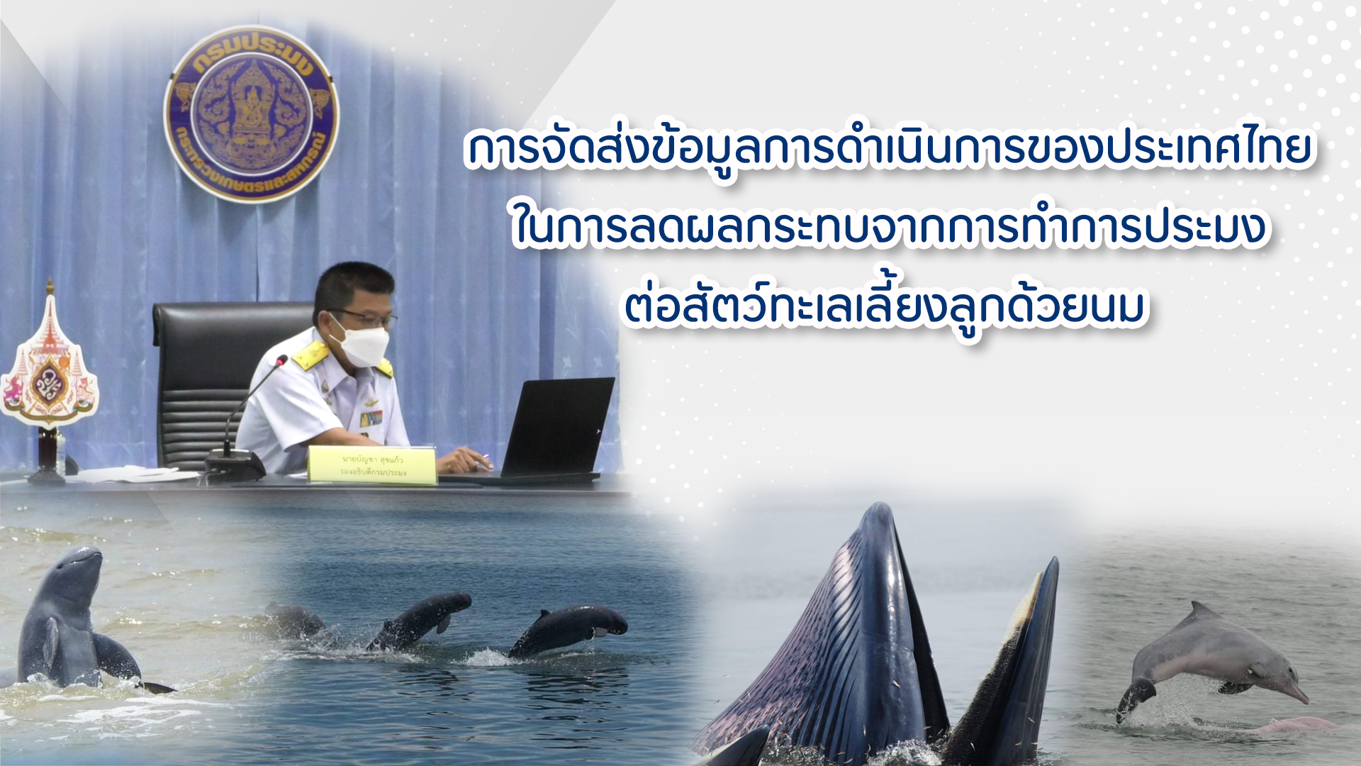 นายบัญชา สุขแก้ว รองอธิบดีกรมประมง เป็นผู้แทนในการส่งข้อมูล?การดำเนิ?นงานของประเทศ?ไทยในการลดผลกระทบ?จากการทำการประมง?ต่อสัตว์ทะเล?เลี้ยงลูก?ด้ว?ยนม ผ่านระบบอิเล็กทรอนิกส์..คลิก