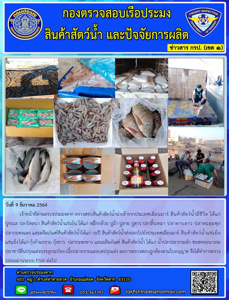 วันที่ 9 ธันวาคม 2564  	เจ้าหน้าที่ด่านตรวจประมงตาก ตรวจสอบสินค้าสัตว์น้ำนำเข้าจากประเทศเมียนมาร์ สินค้าสัตว์น้ำมีชีวิต ได้แก่ปูทะเล ปลาไหลนา สินค้าสัตว์น้ำแช่เย็น ได้แก่ หมึกกล้วย ปูม้า ปูลาย ปูดาว ปลาลิ้นหมา ปลาดาบลาว ปลาตะลุมพุก ปลากะพงแดง และผลิตภัณฑ์สินค้าสัตว์น้ำได้แก่ กะปิ สินค้าสัตว์น้ำส่งออกไปยังประเทศเมียนมาร์ สินค้าสัตว์น้ำแช่เย็นแช่แข็ง ได้แก่ กุ้งก้ามกราม กุ้งขาว  ปลากะพงขาว และผลิตภัณฑ์ สินค้าสัตว์น้ำ ได้แก่ น้ำปลาปลากระตัก ซอสหอยนางรม ปลาซาร์ดีนปรุงแต่งบรรจุกระป๋อง เนื้อปลาทรายแดงบดปรุงแต่ง ผลการตรวจสอบถูกต้องตามใบอนุญาต จึงได้ทำการตรวจปล่อยผ่านระบบ FSW ต่อไป..คลิก