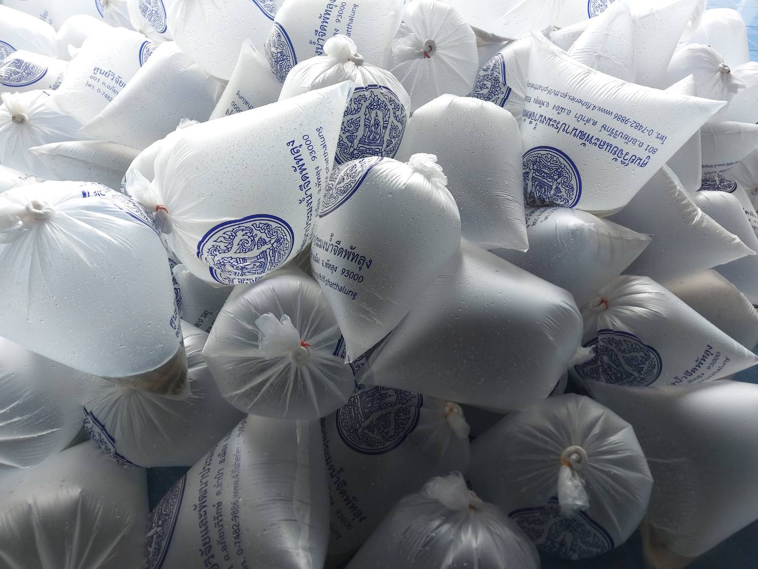 ปล่อยพันธุ์สัตว์น้ำ จำนวน 200,000 ตัว โครงการฟื้นฟูทะเลสาบสงขลา ณ บริเวณทะเลสาบสงขลา  หมู่ที่ 2 ตำบลทะเลน้อย อำเภอควนขนุน จังหวัดพัทลุง