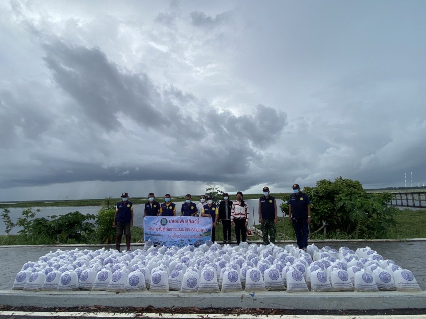 ปล่อยพันธุ์สัตว์น้ำ จำนวน 200,000 ตัว โครงการฟื้นฟูทะเลสาบสงขลา ณ บริเวณทะเลสาบสงขลา  หมู่ที่ 2 ตำบลทะเลน้อย อำเภอควนขนุน จังหวัดพัทลุง..คลิก