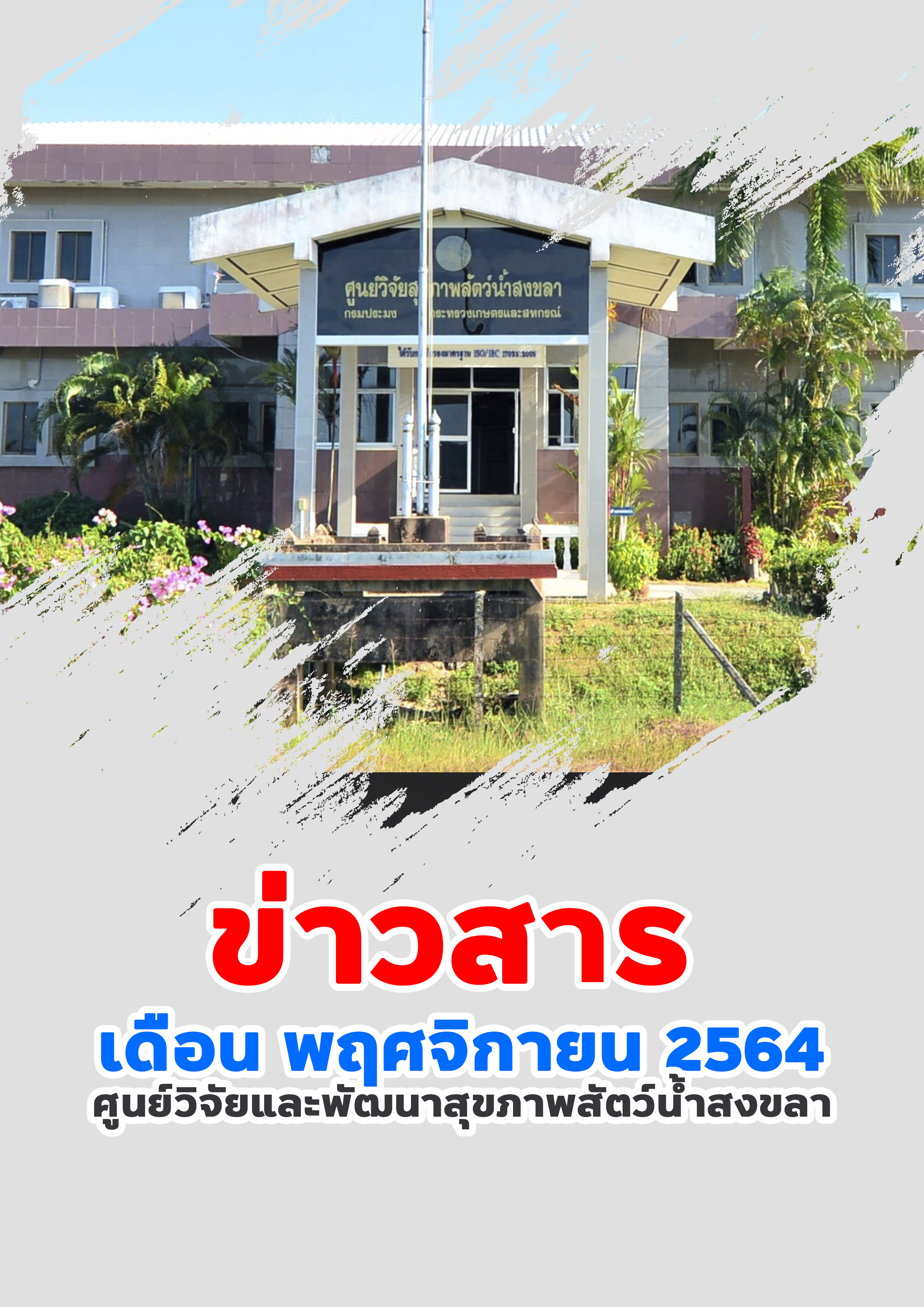 ข่าวสาร ประจำเดือนพฤศจิกายน ศูนย์วิจัยและพัฒนาสัตว์น้ำสงขลา..คลิก