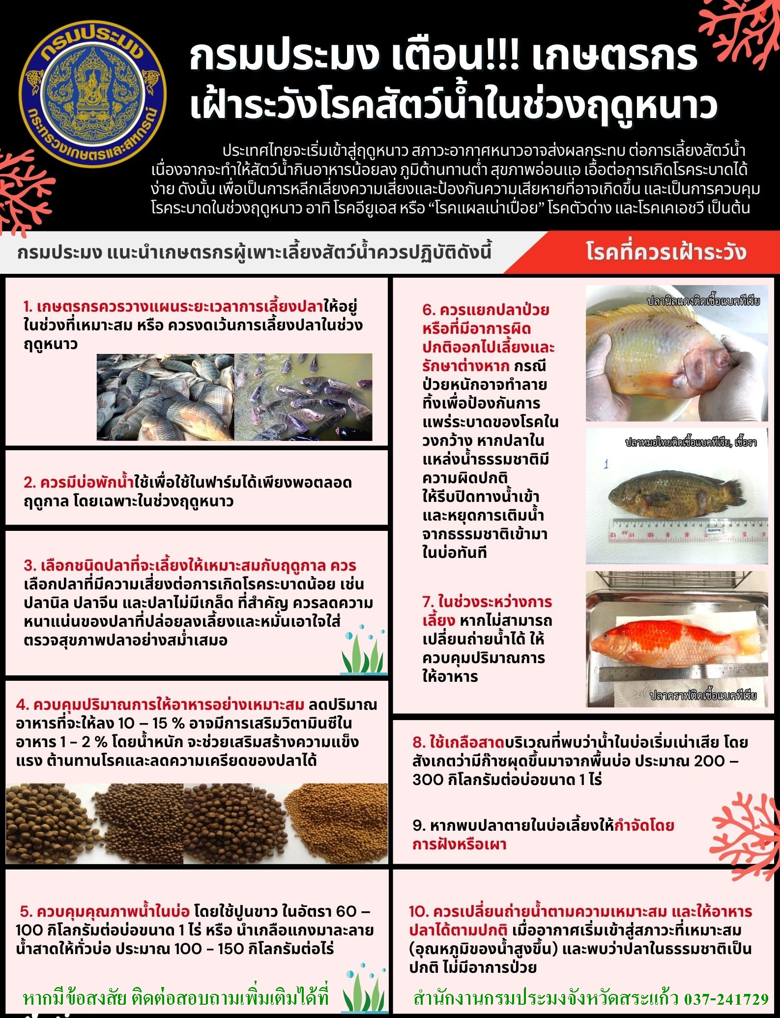 กรมประมงเตือนเกษตรกรเฝ้าระวังโรคสัตว์น้ำในช่วงฤดูหนาว..คลิก