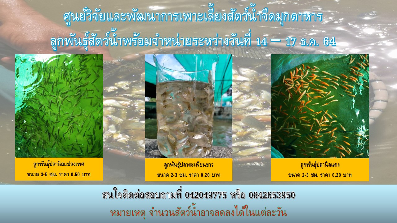 ลูกพันธุ์สัตว์น้ำพร้อมจำหน่าย..คลิก