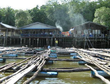 โครงการ Fisherman’s Village Resort วิสาหกิจชุมชนเลี้ยงปลากระชังบ้านพรุจูด (บ่อหินฟาร์มสเตย์) จังหวัดตรัง (Fisherman’s Village Resort)..คลิก