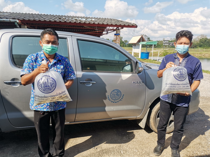 สนับสนุนพันธุ์ปลากินพืช เพื่อปล่อยลงสู่อ่างเก็บน้ำห้วยน้ำใส จังหวัดพัทลุง..คลิก