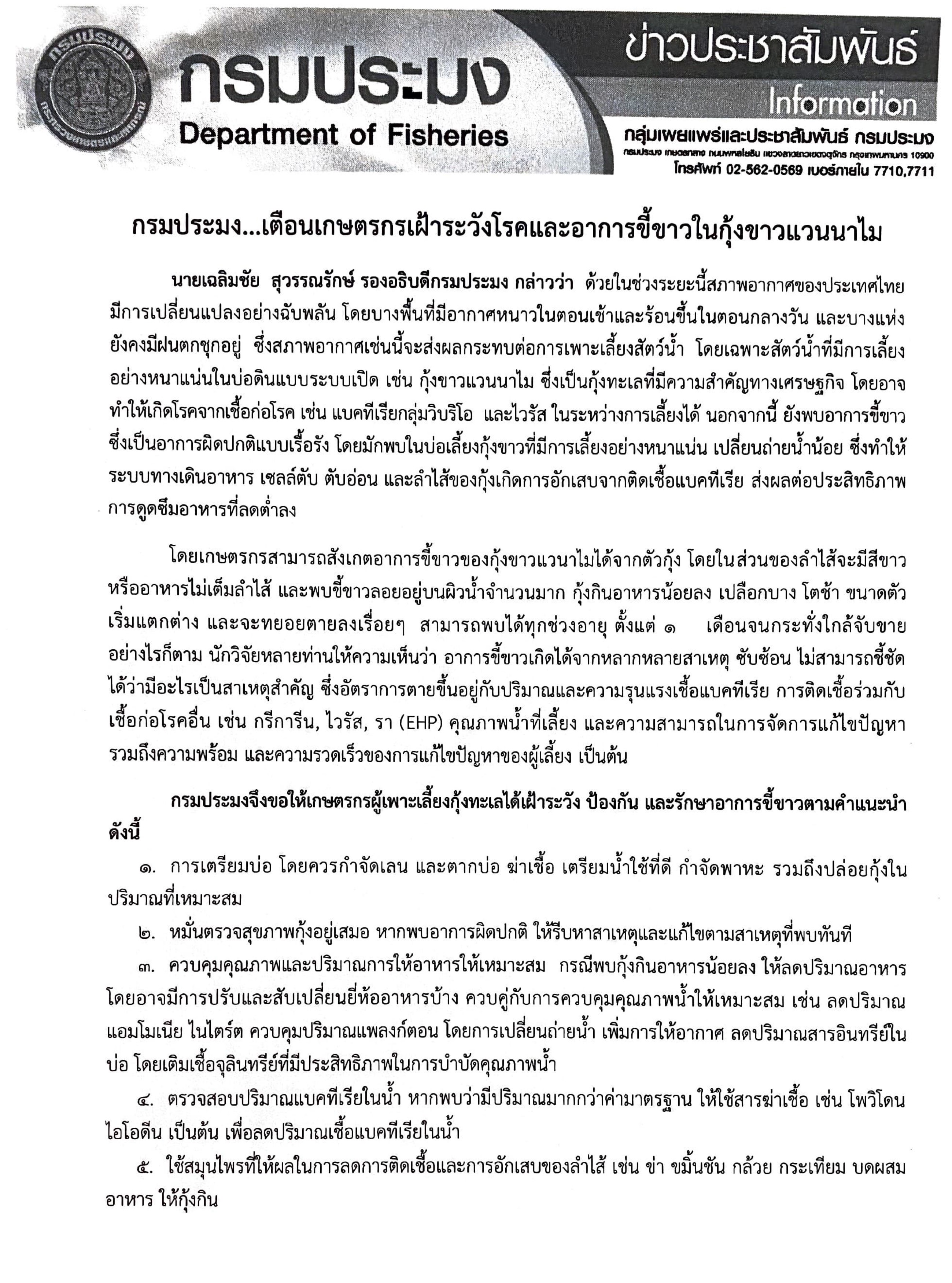กรมประมง...เตือนเกษตรกรเฝ้าระวังโรคและอาการขี้ขาวในกุ้งขาวแวนนาไม..คลิก