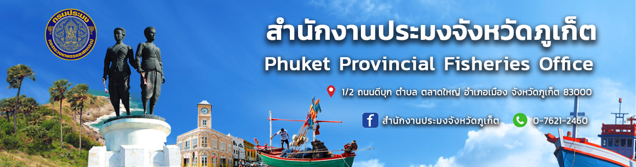 สไลดืโชว์ 1..คลิก