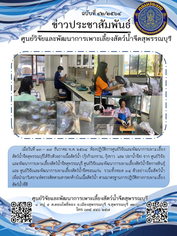 ข่าวประชาสัมพันธ์ฉบับที่ 42 ประจำเดือนธันวาคม 2564..คลิก